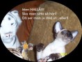 /album/bildgalleri/a100-0316-som-en-staty-jpg/
